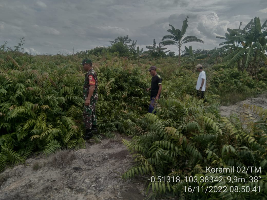 HM Sibarani Bersama Warga Binaan Laksanakan Patroli dan Sosialisasi Karhutla di Kelurahan Kuala Enok 