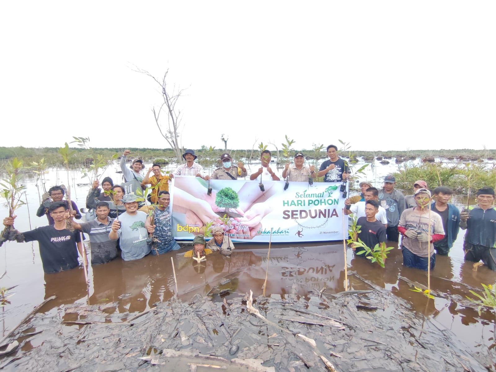 Peringati Hari Pohon Sedunia, Stop Penebangan Liar Guna Selamatkan Lingkungan